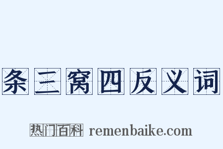 条三窝四反义词是什么意思的图片